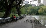 Feeding ducks.jpg