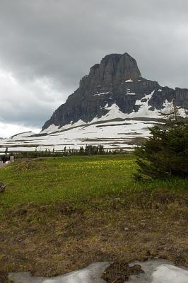 0582_onTopMeadow.jpg