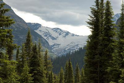 0592_glacier.jpg