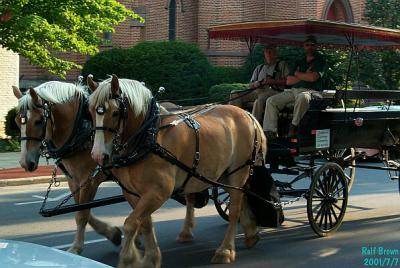 Carriage Rides Available