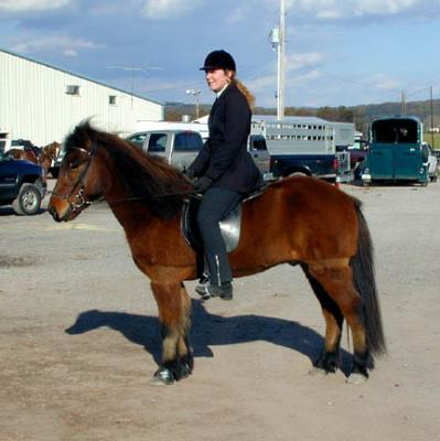 Northeast Gaited Show - Oct. 2003