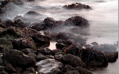 Muir Beach15.jpg