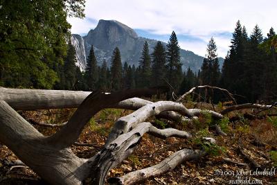 Moments Captured = Yosemite