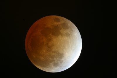 Lunar eclipse Nov 2003.jpg