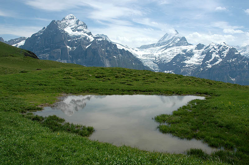 Sicht auf Wetterhorn und Schreckhorn