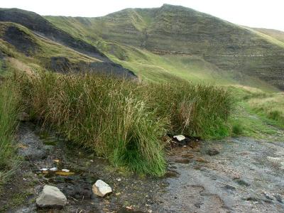 Mam tor