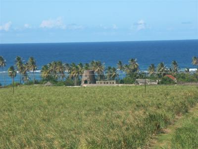 St Nevis - Sugar cane and mill