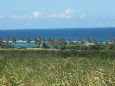 St Kitts - Sugar cane and mill
