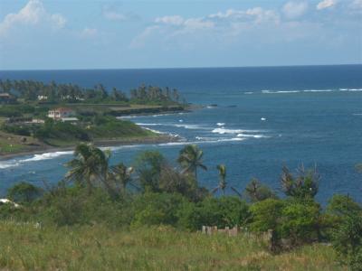 St Kitts countryside 3
