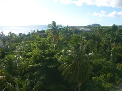 St Kitts countryside