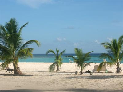 Barbados typical beach