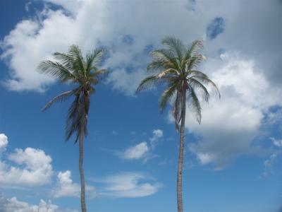 Barbados - Trying to be artistic