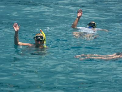 Barbados - Snorkelling