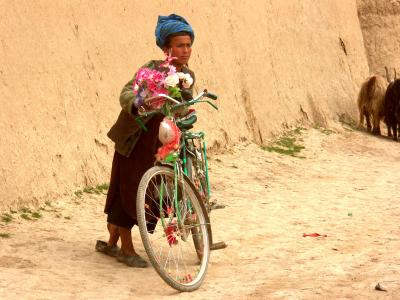 u35/rl/medium/40413308.BeautifulBike.jpg