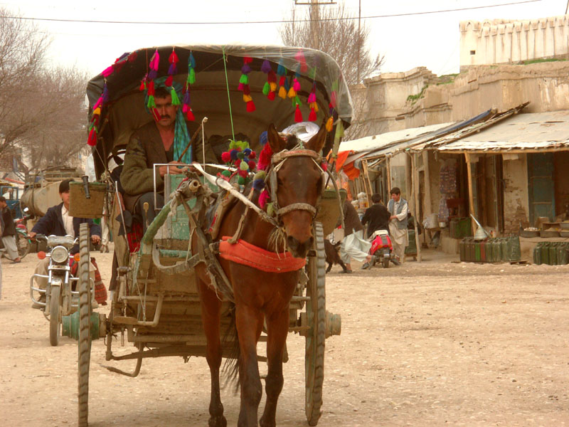 Splendid Carriage