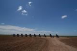 Cadillac Ranch 138