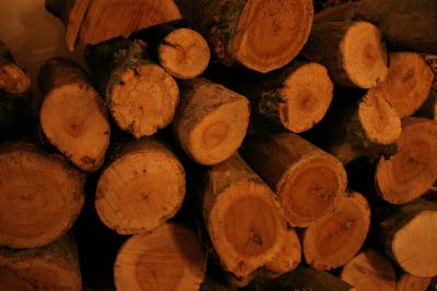 u35/robertfinlayson/medium/40425392.logs.jpg