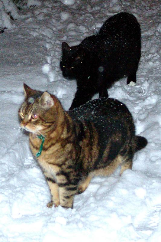 Milos and Simi in the snow