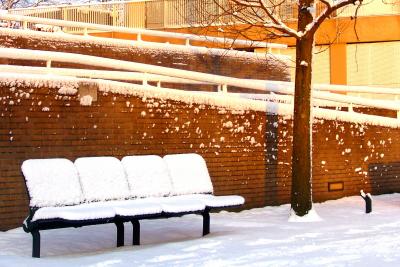 Snow bench in colours