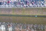 Bycicle reflections in canal