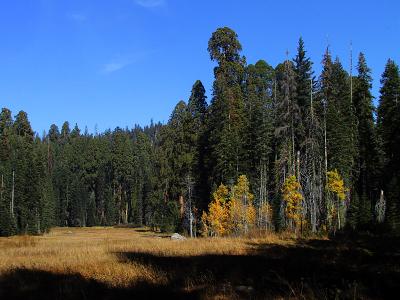 Crescent Meadow