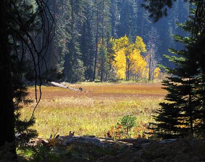 Crescent Meadow