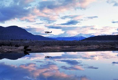 Reflections