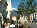 Nice tree and umbrella placement