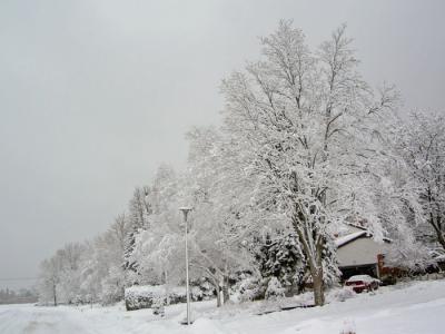   Snow Storm 2005