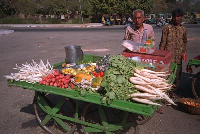 jaipur vendor cart cp