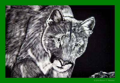 Close Up Julies Scratch Art