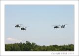 Busch Flyover