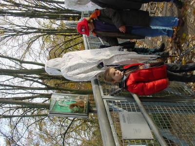 DSC03330.jpg