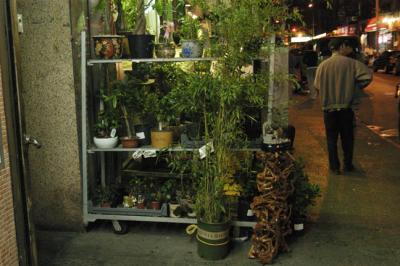 Plant Shop 6035.jpg