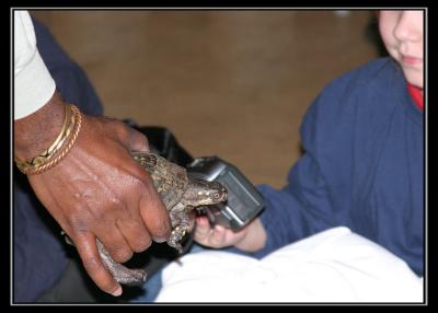 aIMG_2806.jpg