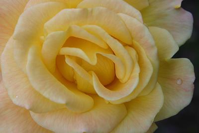 IMG_9677 copy.jpg