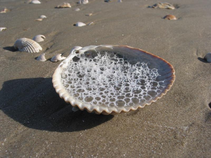 Taken on Martins Beach - Louisiana