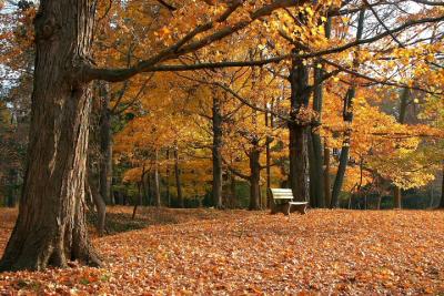 Washington Crossing Park