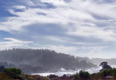foggy california coast