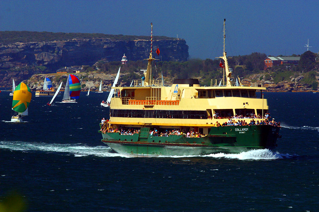 Manly ferry amongst sailing fleet, Sydney Harbour
