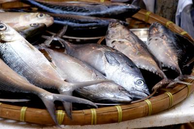 Fish out of the Water