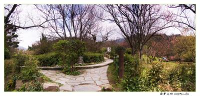CRW0556-60.jpg