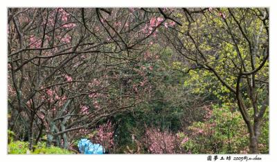 CRW0562-63.jpg