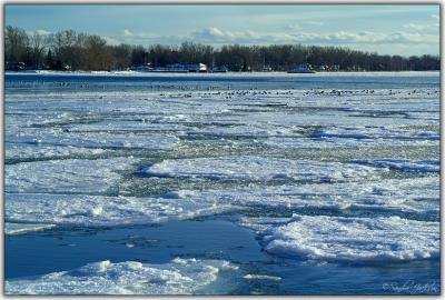 Ferry through the ice