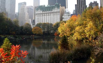 The Pond, Central Park