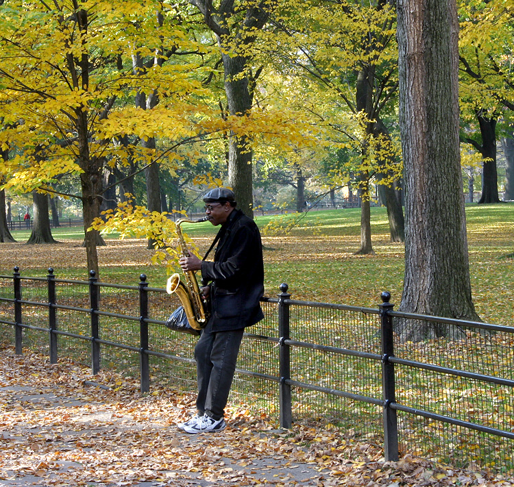 Musician, Central Park