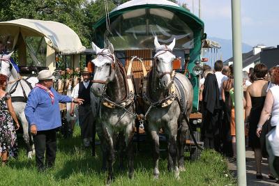 IMG_7927.jpg