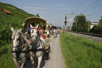 IMG_7942.jpg