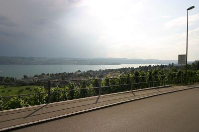 IMG_7948.jpg