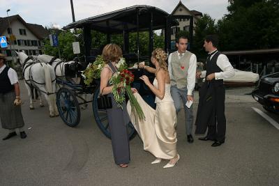 IMG_7955.jpg